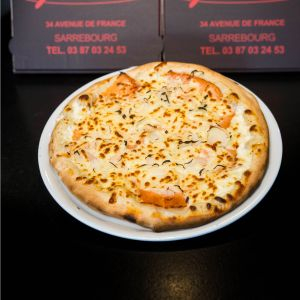 Flamm Saumon - Géante (50cm)